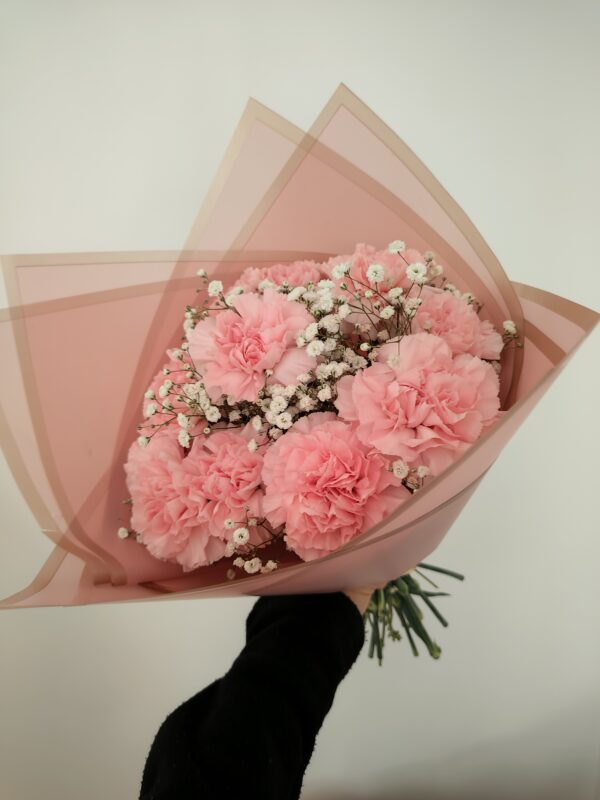 Ramo con claveles rosas con ghypso