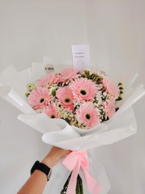 Dulce Gerbera