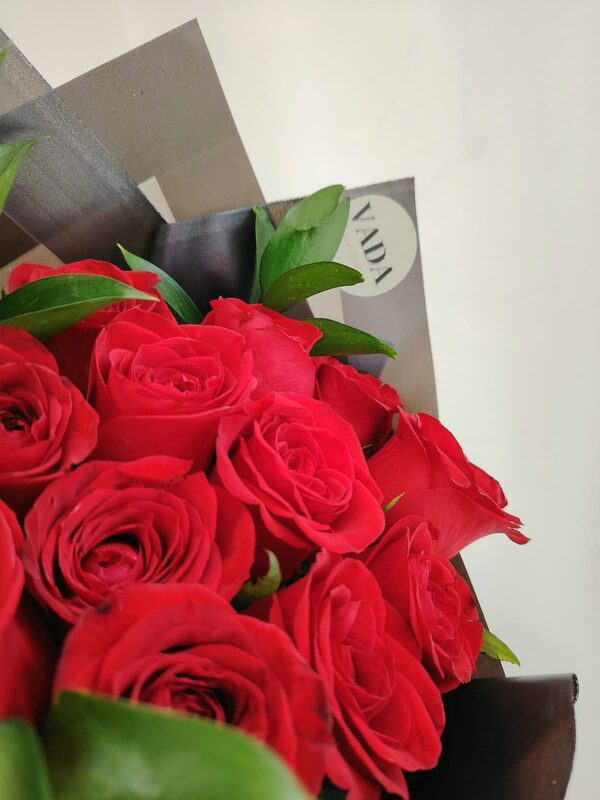 WhatsApp Image 2026-09-03 at 3.34.37 PM (1) 12 Rosas rojas con dollar
