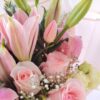 Primavera rosa