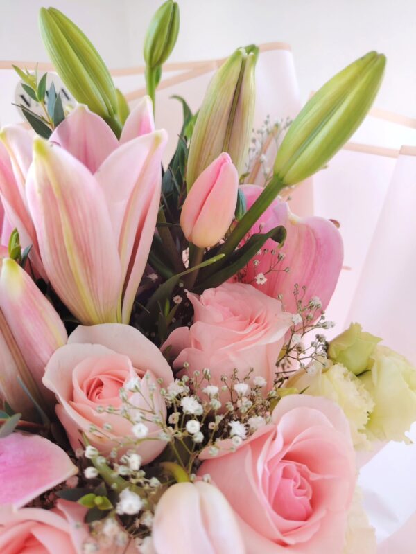 Primavera rosa