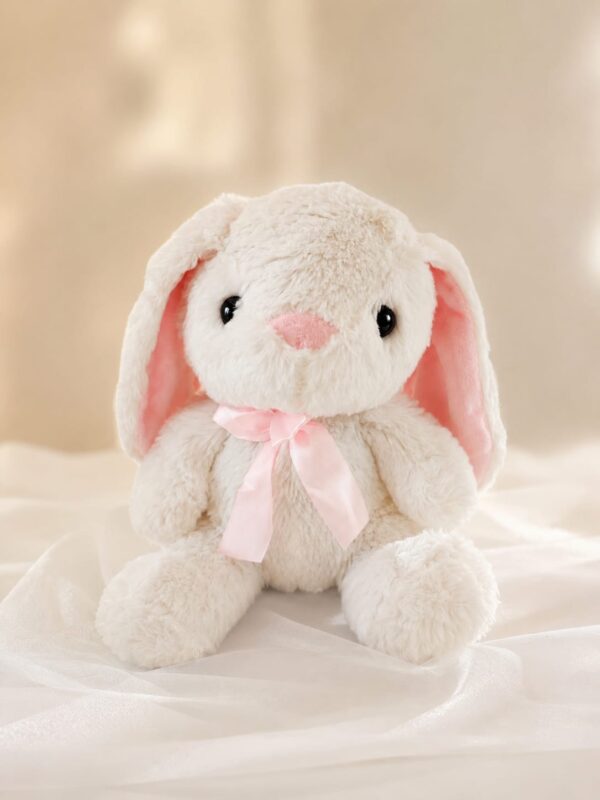 WhatsApp Image 2026-08-30 at 1.54.12 PM Peluches