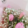 Cielo de tulipanes