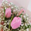 Cielo de tulipanes