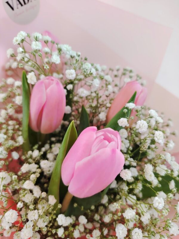 Cielo de tulipanes