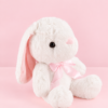 ChatGPT Image 10 sept 2026, 11_47_47 a.m. Conejo de Peluche