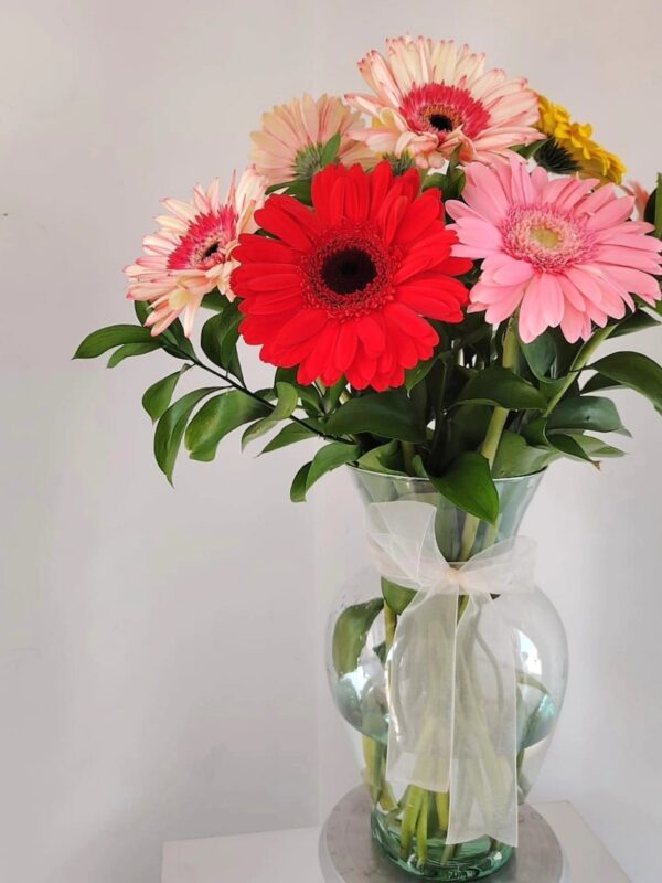 Florero de gerberas de varios colores